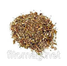Горець трава перцевий(водяний перець) 50 г