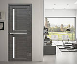 Полотно двері Cortex Deco 01 ash line, фото 2