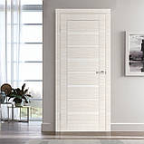 Полотно двері Cortex Deco 10 дуб bianco line, фото 2