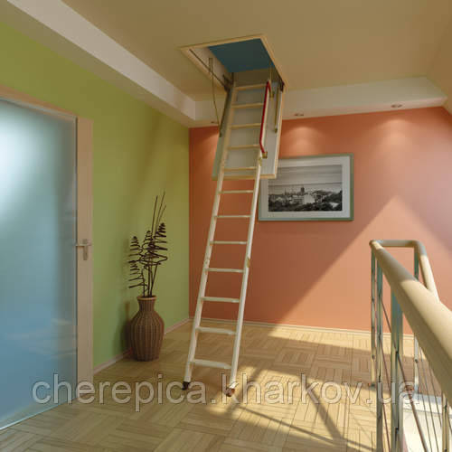 Чердачная лестница FAKRO LWK-305 Komfort 70х130 - фото 1 - id-p85783408