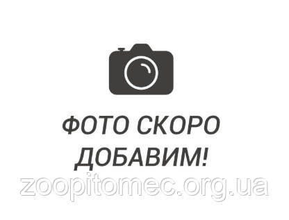 Подушка в будку Baita 60