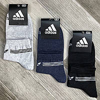 Носки мужские демисезонные х/б спортивные Adidas, Athletic Sports, средние, ассорти, 12588