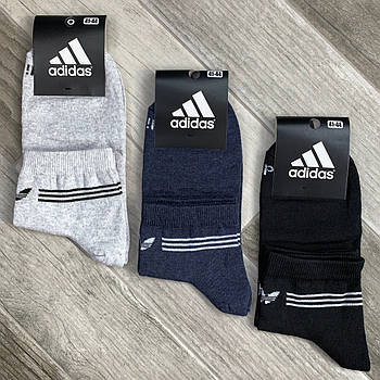 Шкарпетки чоловічі демісезонні х/б спортивні Adidas, Athletic Sports, середні, асорті, 12588