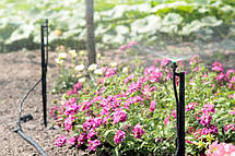 Крапельниця для поливу Presto-PS микроджет Гном (MJ-1603), фото 4