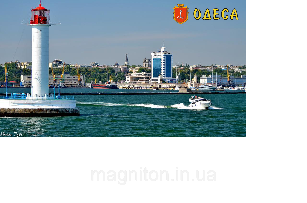 Магніт вініловий Одеса 06