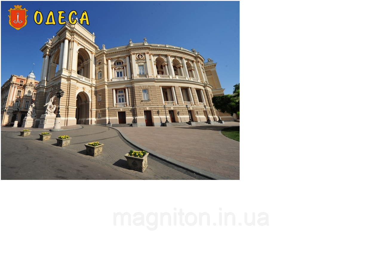 Магніт вініловий Одеса 19