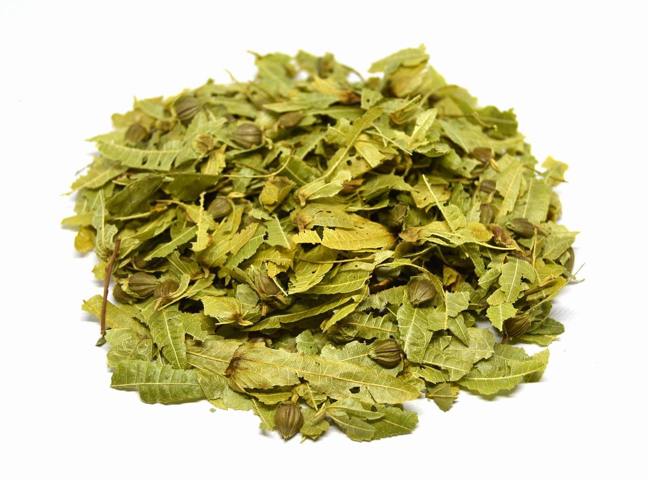 Граб звичайний квітки