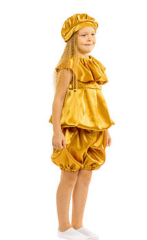 Карнавальний костюм Картоплі