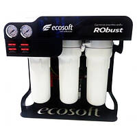 Фільтр для кафе та ресторанів Ecosoft RObust