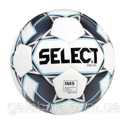 М'яч футбольний Select Delta (розмір 5)