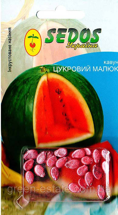 Кавун Цукровий малюк 1,5 р.