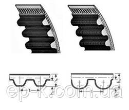 Пас зубчастий AVX10 CONTITECH SYNCHROFLEX, фото 4