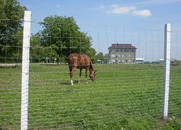 Сітка загорода фермер 150/21/15