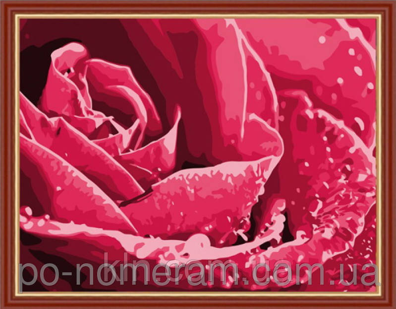 Картина за номерами Menglei Роса на троянді MG218 40 х 50 см, фото 1