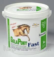 ORLING Гелапони Фаст (Gelapony Fast) !!!УВАГА!!! ЧЕХІЯ!!! 600 г