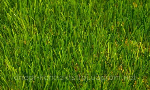 Искусственный газон для футбольного поля Force - фото 6 - id-p8116997
