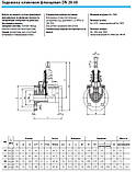 Засувка клинова фланцева Дн20-40, фото 3