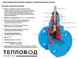 Засувка клинова фланцева Дн20-40