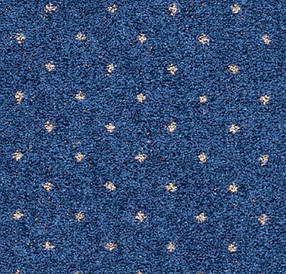 Кишень Akzento (Бельгія) 77