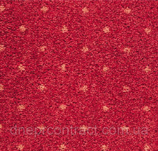 Кишень Akzento (Бельгія) 10