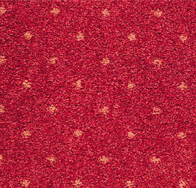 Кишень Akzento (Бельгія) 10