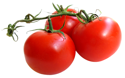 Насіння томатів (помідор)
