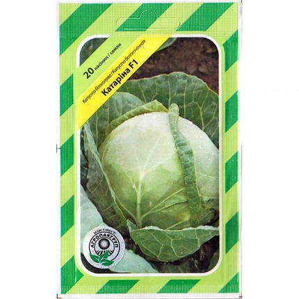 Насіння капусти ультраранньої, білокачанної «Катаріна» F1 (20 насінин) від Bejo, Голландія, фото 1
