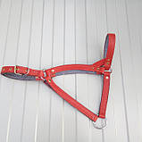 Skóra  kantar, фото 3