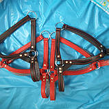 Skóra  kantar, фото 2