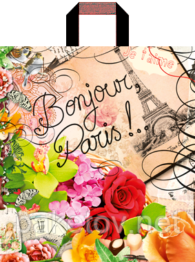 Пакет петля "Париж" (38х43+3)80 мкм 25 шт./паковання