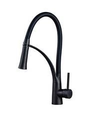 Змішувач для кухні Royal Sanitary SALTO