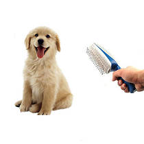 Догляд за домашніми тваринами