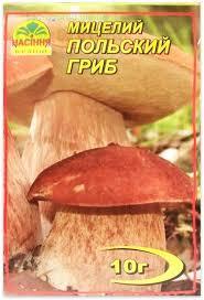Міцеля гриба Польський Гриб 10 г