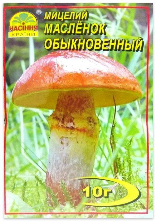 Міцеля гриба Масляна Подовжений, 10 г