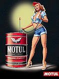 Масло моторне 5W-30 (1л.) Motul 8100 X-clean 100% синтетичне, фото 4