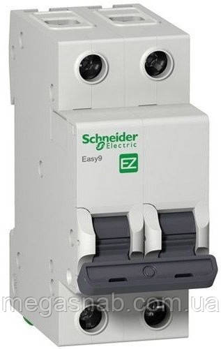 Автоматичний вимикач Schneider 2р 25 А З (EZ9)