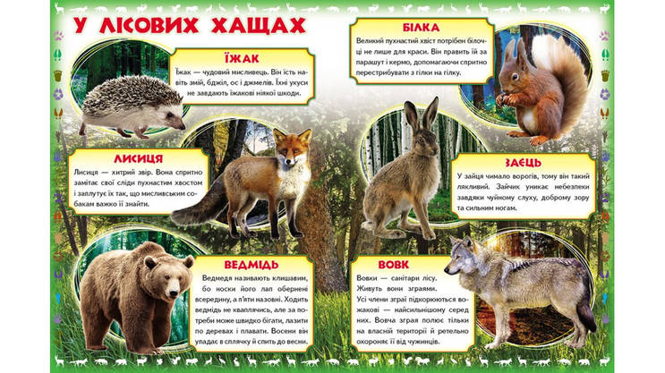 Енциклопедія Моя перша книга. Про диких тварин Пегас, фото 4