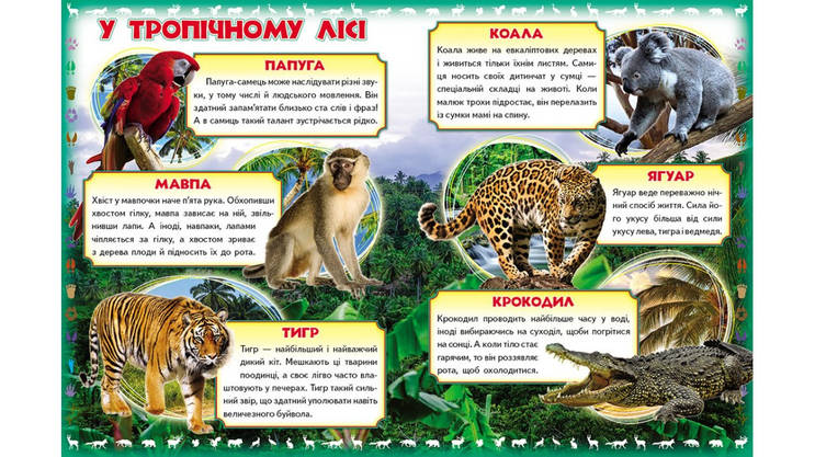 Енциклопедія Моя перша книга. Про диких тварин Пегас, фото 5