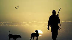 Одяг Мілітарі