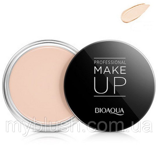 Коригувальний консилер основа Bioaqua Mouth Lasting 10 g No2 (Ivory)