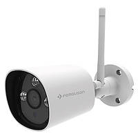 IP-Камера наружная WI-FI Ferguson SmartHome FULL HD SMART EYE 300 IP CAM