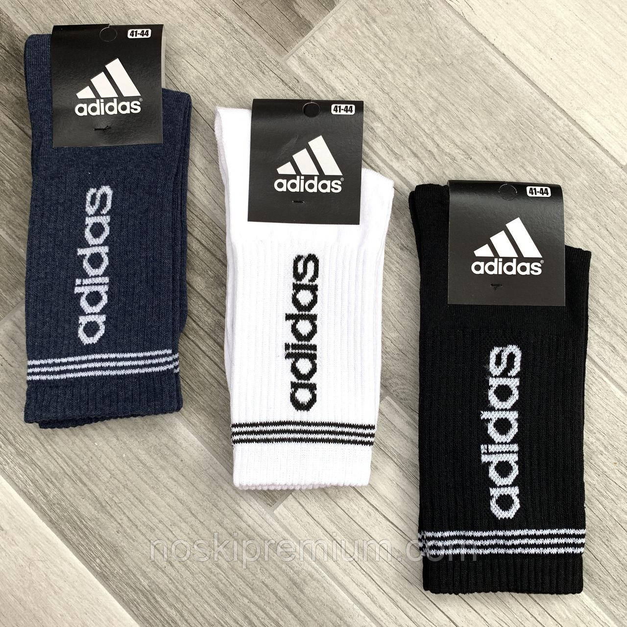 Шкарпетки чоловічі демісезонні бавовна спортивні Adidas, Athletic Sports, високі, асорті, 12506, фото 1