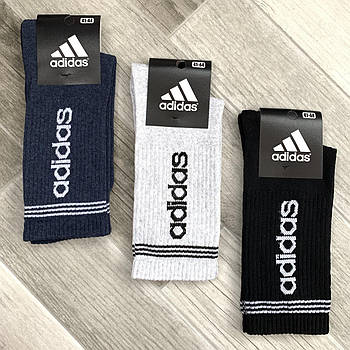 Шкарпетки чоловічі демісезонні бавовна спортивні Adidas, Athletic Sports, високі, асорті, 12500