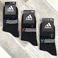 Шкарпетки чоловічі демісезонні х/б спортивні Adidas, Athletic Sports, середні, чорні, 12543, фото 2