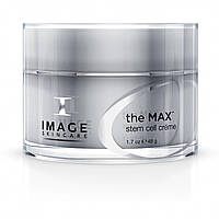 The MAX Stem Cell Creme Нічний крем The MAX, 48 р
