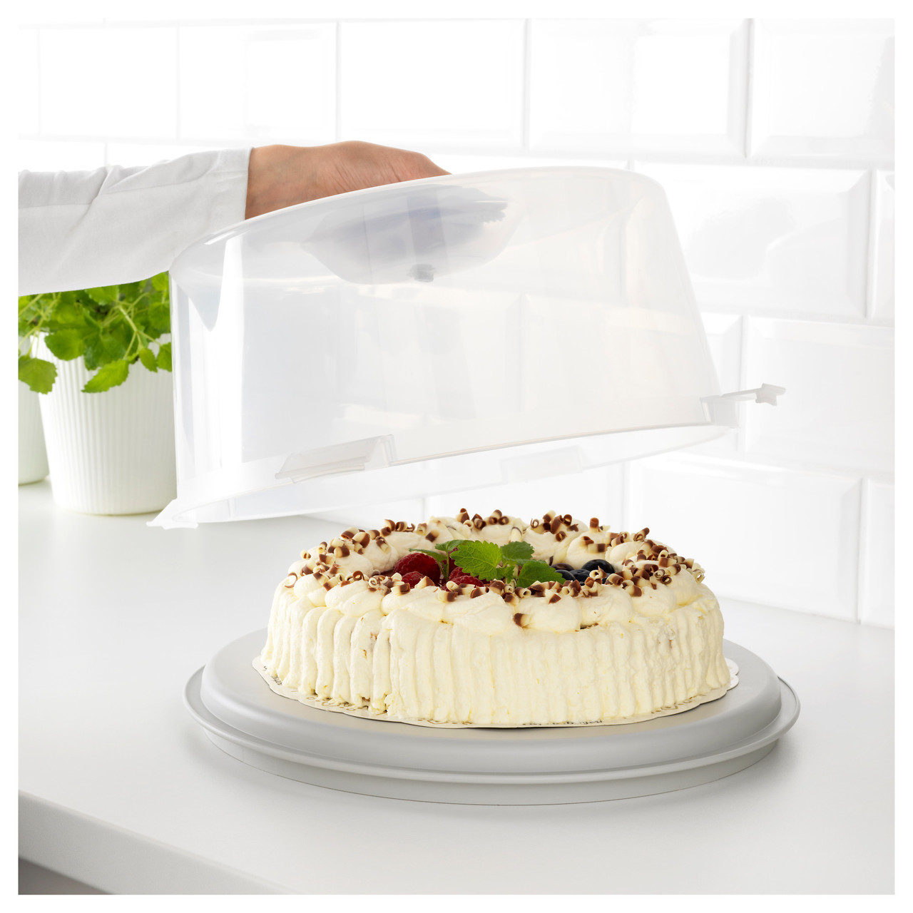 Контейнер для торта KRISPIG IKEA 203.364.07