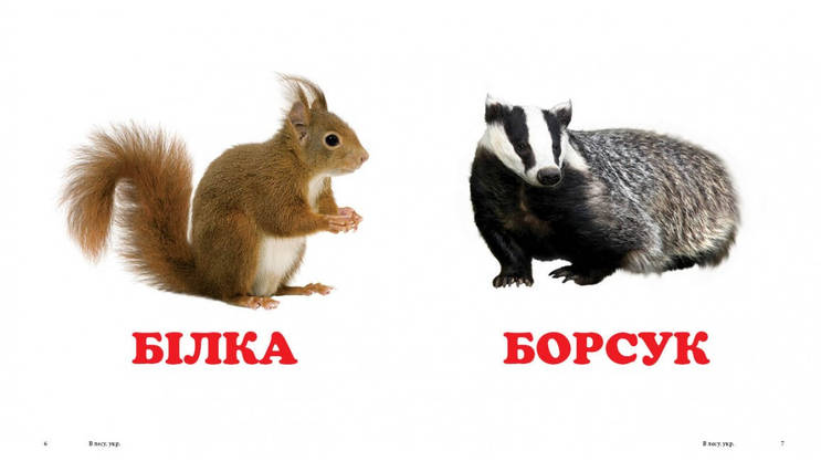 Книжка-малятко "У лісі" | Навколишній світ | Пегас, фото 3