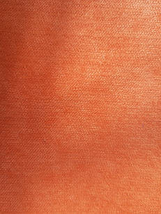 Даллас 9 Celosia orange