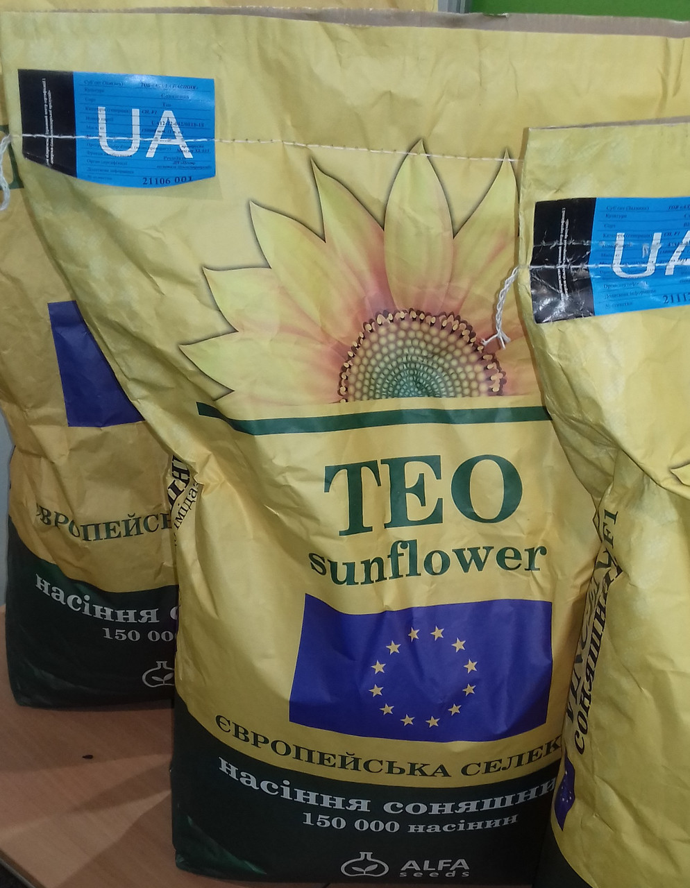 Насіння соняшника Тео Преміум, Під Євролайтинг
