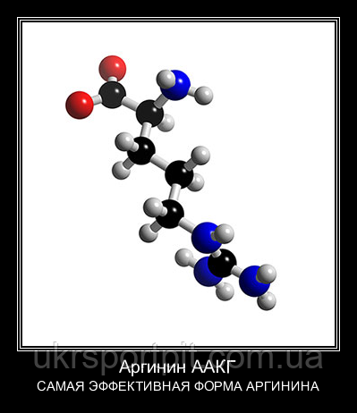 L-Arginine AAKG (Л-Аргинин ААКГ) 100 г - фото 4 - id-p8170660